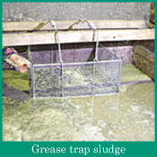 Grease trap sludge