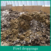 Fowl droppings